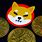 Shiba Coin