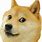 Shiba Inu Dog Doge Meme