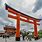 Shinto Gate