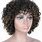 Short Natural Curly Hair Wigs