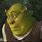 Shrek Cara Meme