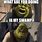Shrek Meme What Are You Doing in My Swamp