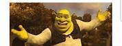 Shrek School Memes