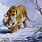 Siberian Tiger Painting