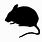 Silhouette of Mouse
