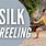 Silk Reeling Qigong