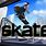 Skate 4 Game