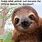 Sloth Monday Meme