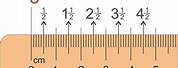 Small Marks On Centimeter Ruler