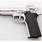 Smith Wesson Model 4506