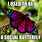 Social Butterfly Meme