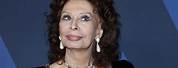 Sofia Loren Overleden