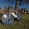 Solar Bicycle