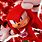 Sonic the Hedgehog Knuckles Wallpaper