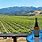 Sonoma County Wine