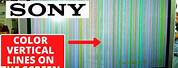 Sony TV Blue Screen Problem