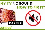 Sony TV No Volume