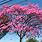 South Florida Flowering Trees