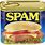 Spam Brand