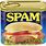 Spam Pictures