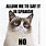 Spanish Cat Meme