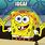 Spongebob IDGAF