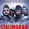 Stalingrad Cast