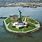 Statue of Liberty Island New York