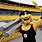 Steelers Mascot NFL