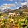 Stellenbosch Wine Estates