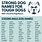 Strong Masculine Dog Names