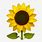 Sunflower Emoji iPhone