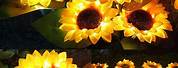 Sunflower Solar Yard Light