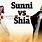 Sunni-Shiite
