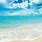 Sunny Beach Desktop