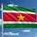 Suriname Vlag