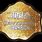 TNA World Heavyweight Championship Belt