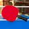 Table Tennis Bats Professional