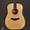 Taylor Guitars 10E