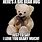 Teddy Bear Hug Meme
