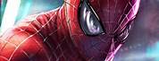 The Amazing Spider-Man Fan Art