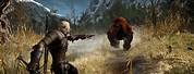 The Witcher 3 Wild Hunt in Game