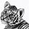 Tiger Cub Face Drawing