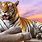 Tiger Wallpaper HD Full Screen