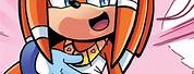 Tikal the Echidna Archie Sonic