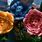 Tim Burton Flowers