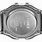 Timex T78587 Watch Band