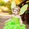 Tinker Bell Baby