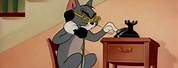 Tom Jerry Phone Meme
