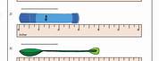 Tools Used for Measuring Length Worksheet